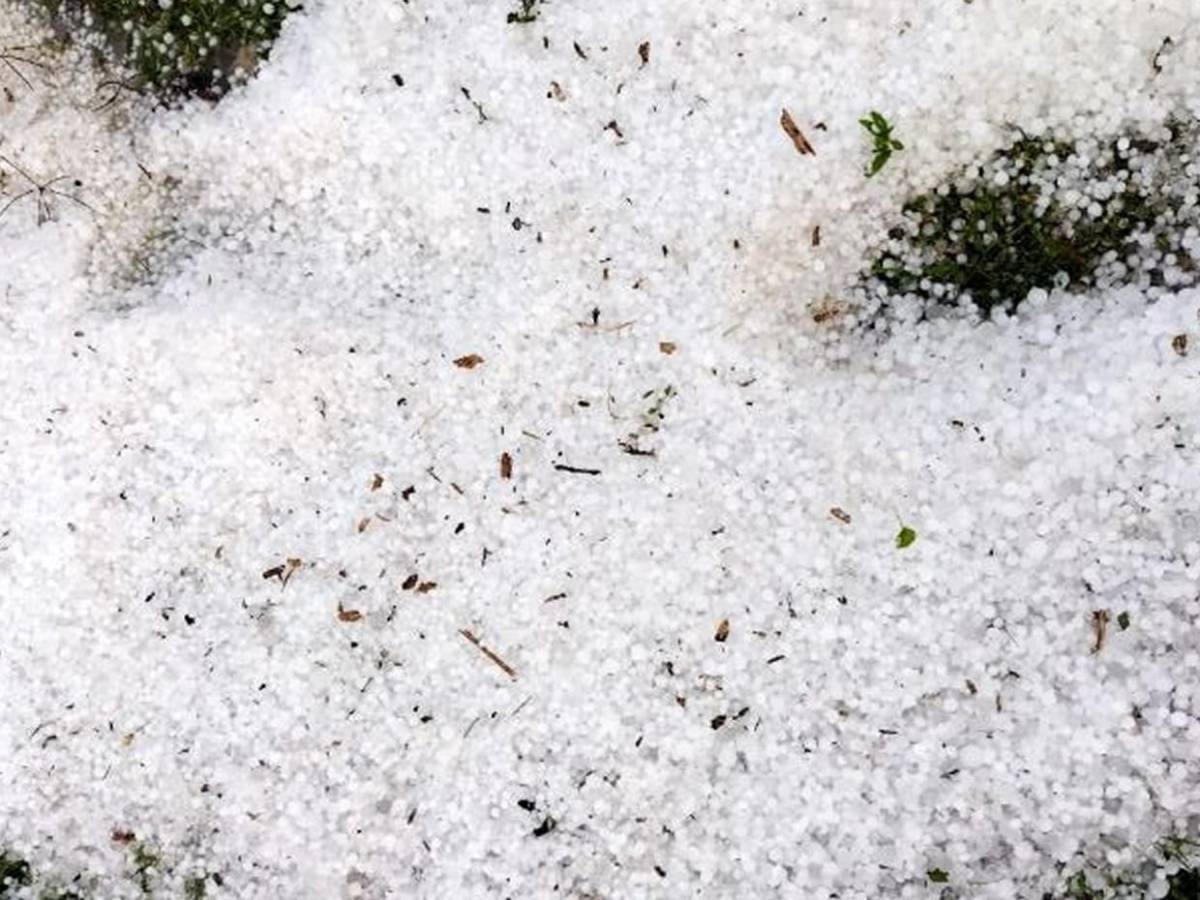 Es una gran decepción: tormenta de granizo causa estragos en cultivos de Intibucá