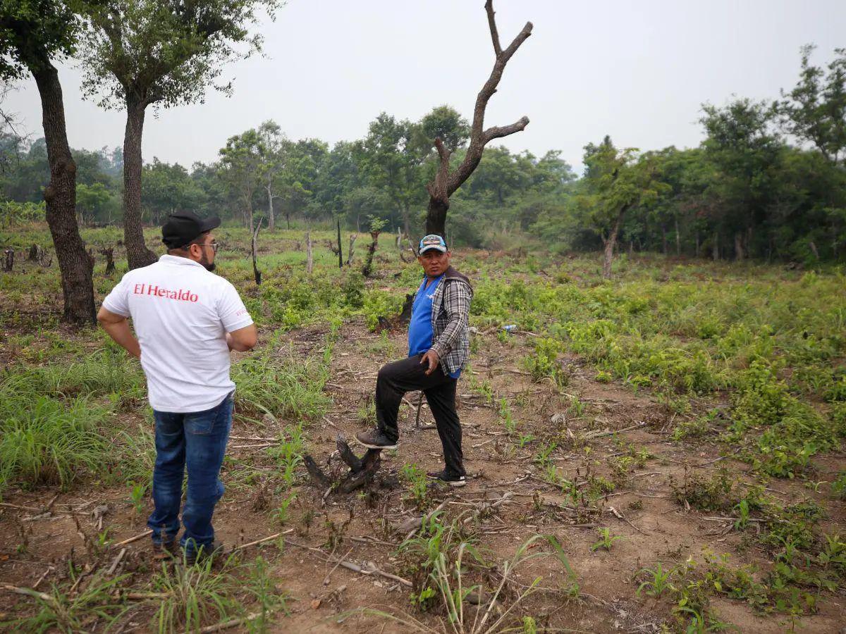 Preocupa escasez de agua: estos son los 60 municipios de Honduras permanecen en alerta por sequía
