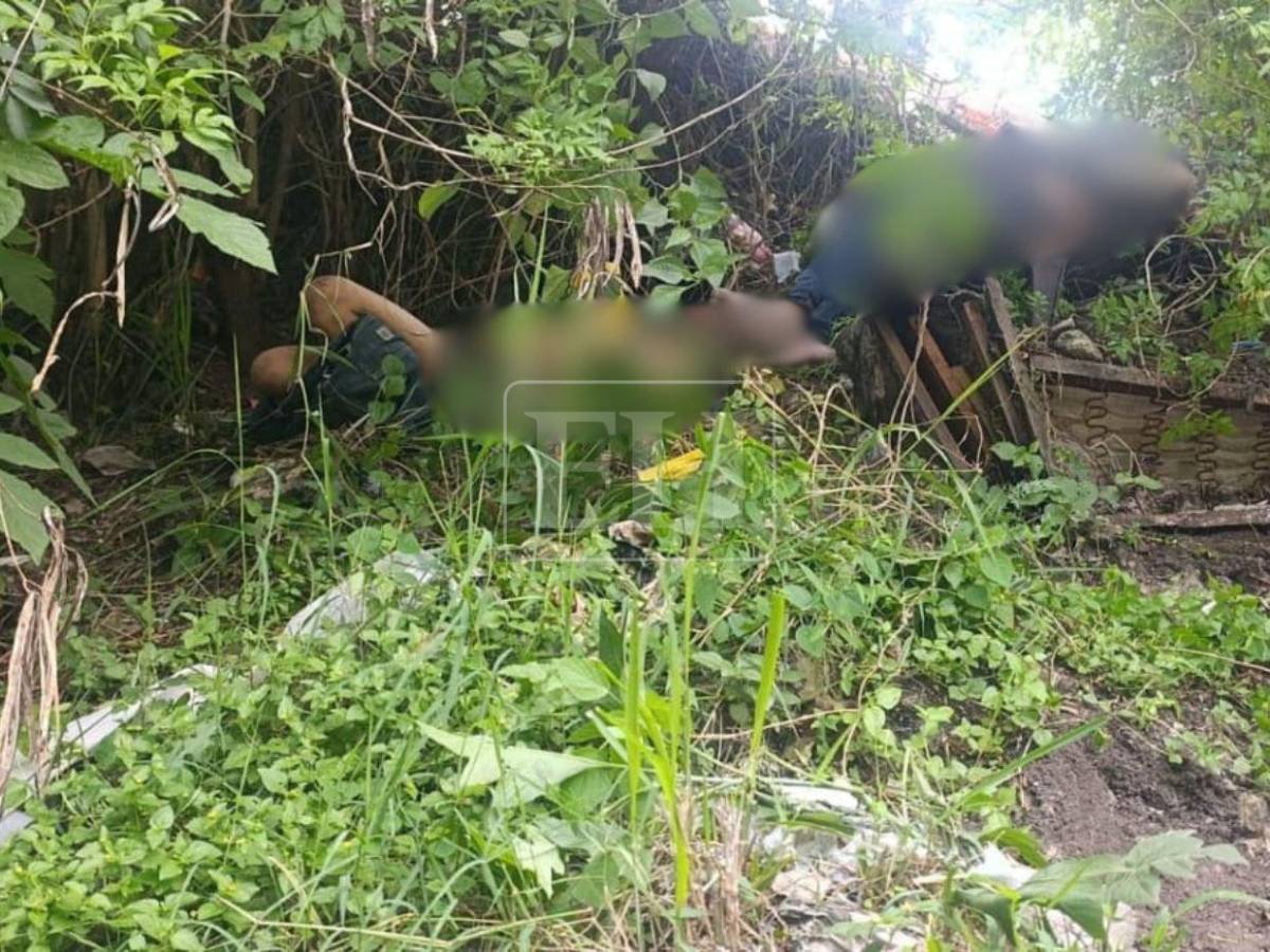 Entre la maleza y con varios disparos: así hallaron a dos hombres asesinados en la colonia 14 de enero