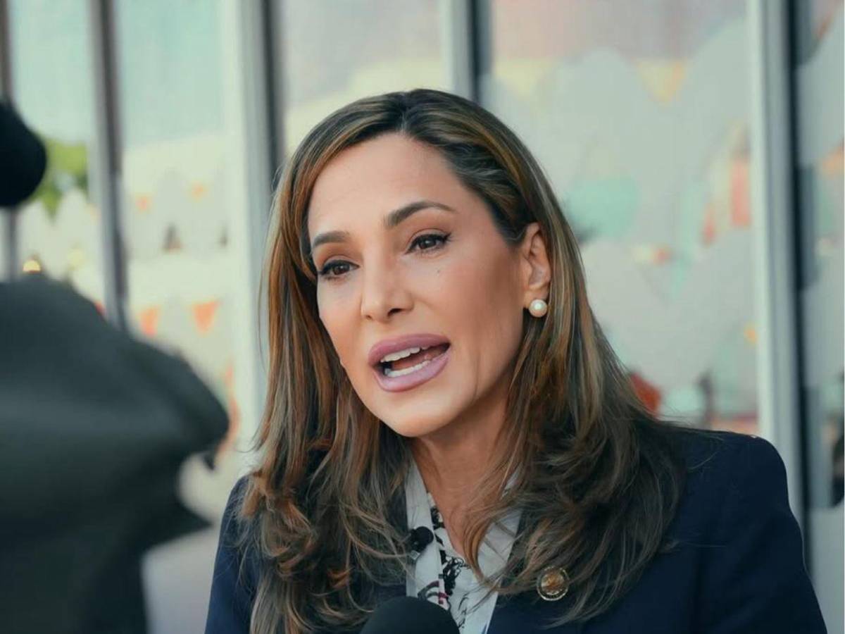 Ellos son los congresistas de EE UU que observarán el proceso electoral en Honduras