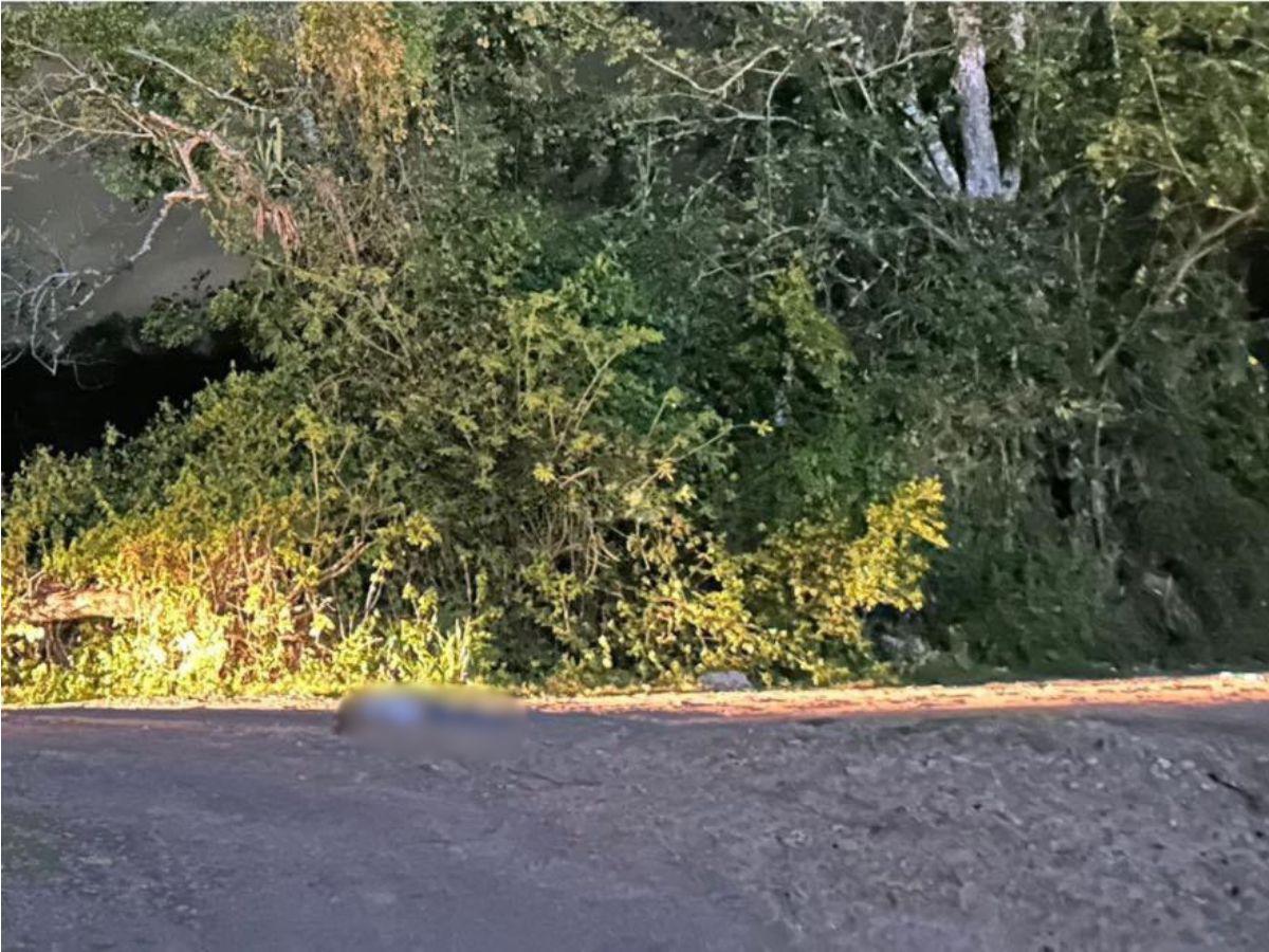 Caso de Alan Paz, hombre asesinado a disparos en Nueva Arcadia, Copán