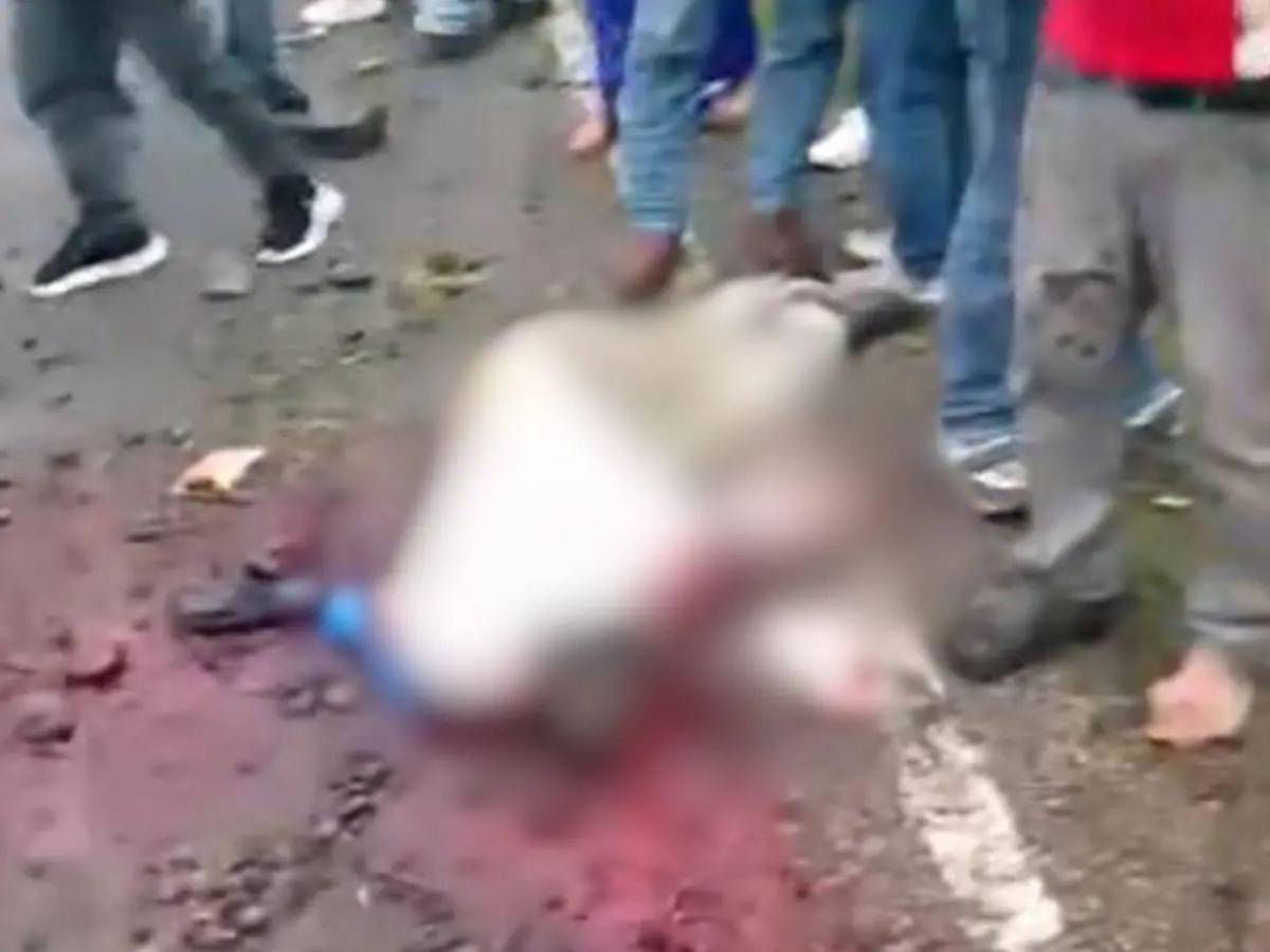 Cuadro a cuadro: así fue el accidente de camión que dejó unos ocho muertos en Santa Bárbara