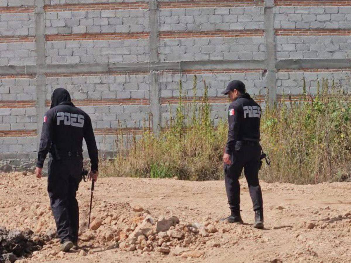 Quinceañera desaparecida fue hallada carbonizada en México; hombre la contactó por redes