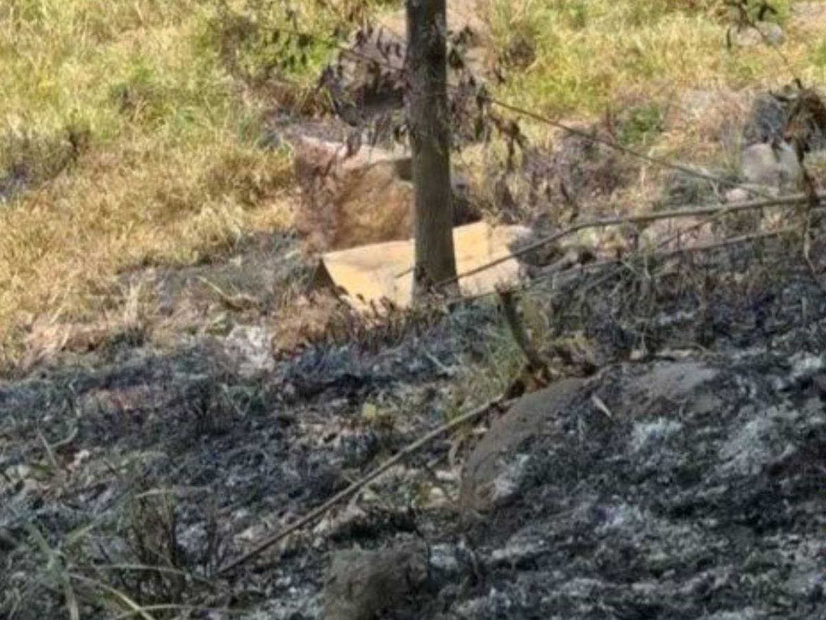 Fue asesinada y luego quemaron su cuerpo: detalles del crimen en San Antonio de Cortés