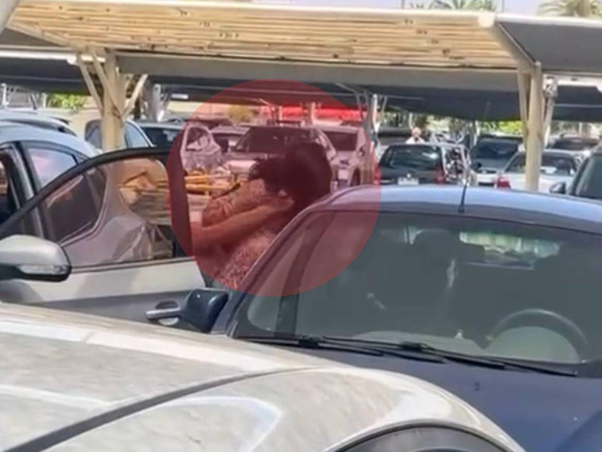 Navidad entre empujones: peleas de capitalinos se viralizan en redes sociales