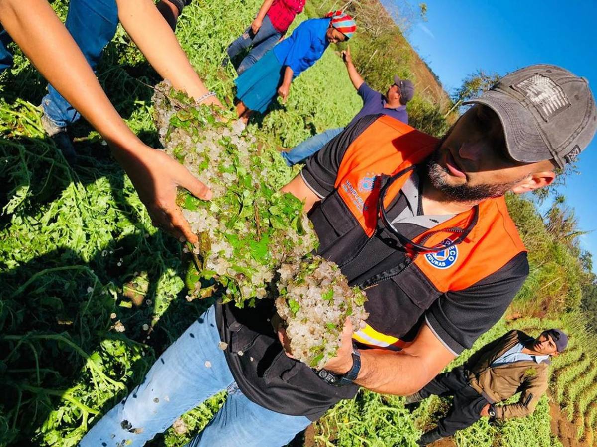 Es una gran decepción: tormenta de granizo causa estragos en cultivos de Intibucá
