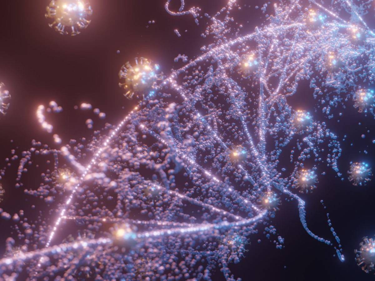 Eva Gallegos: Científica que erradicó el VPH al 100% en 29 mujeres