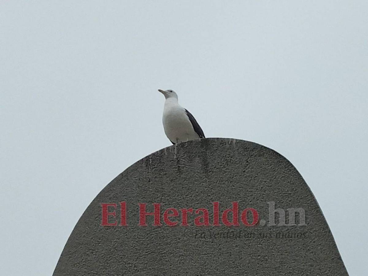 Al menos 14 islas se ubican en Estocolmo.