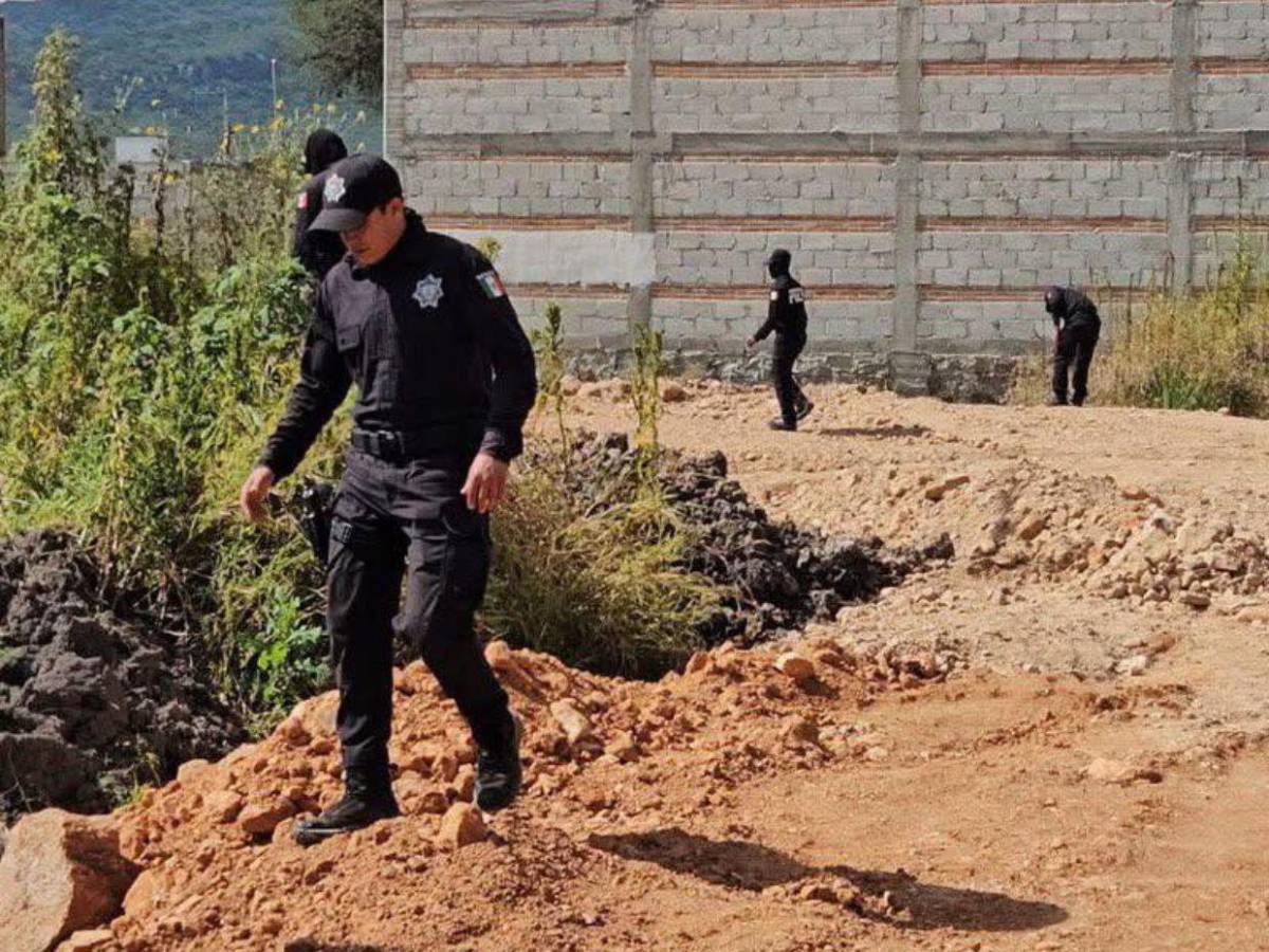 Quinceañera desaparecida fue hallada carbonizada en México; hombre la contactó por redes