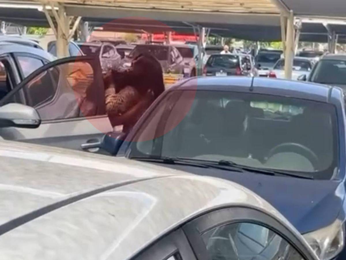 Navidad entre empujones: peleas de capitalinos se viralizan en redes sociales