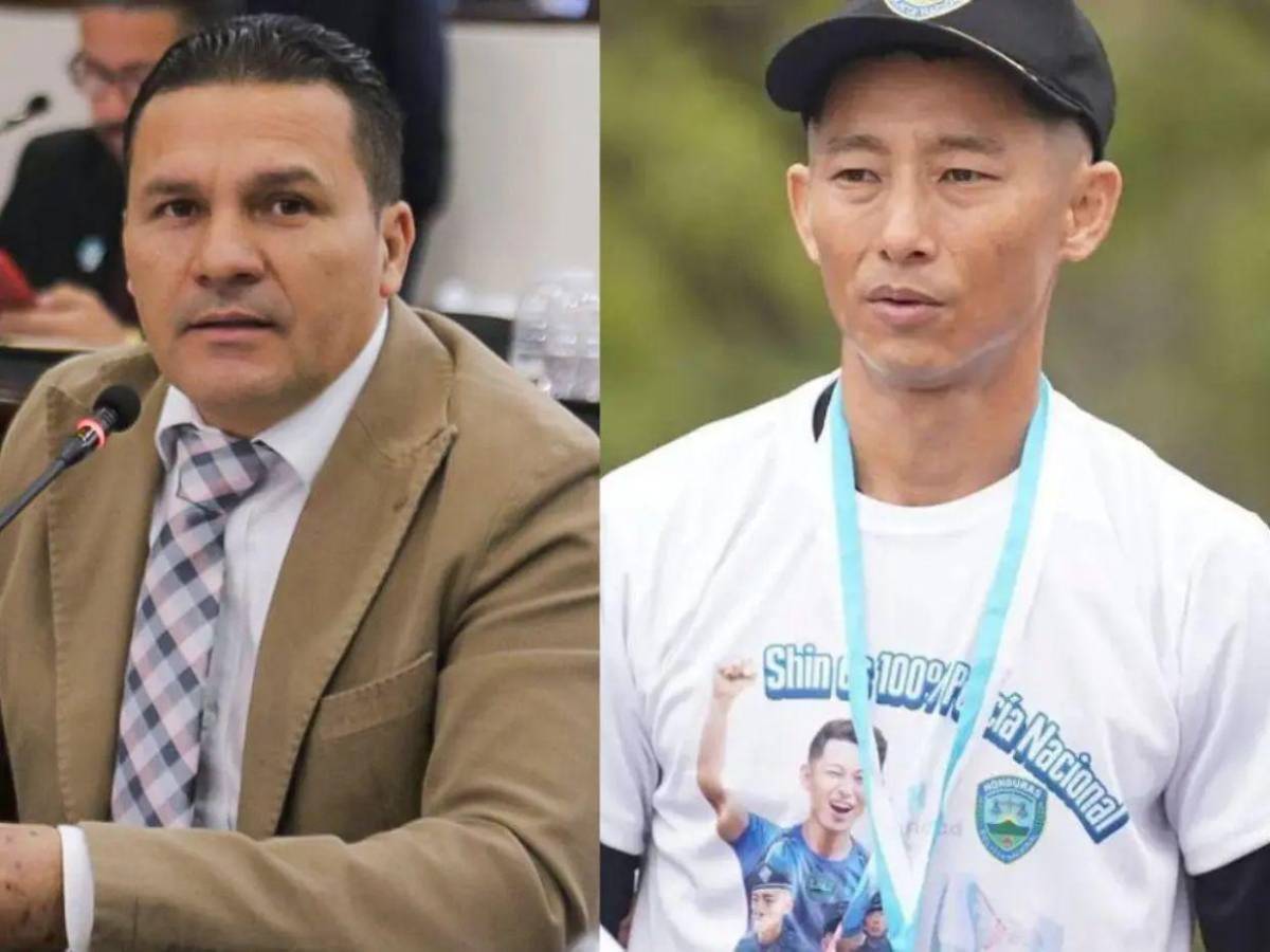 En el CN proponen asignar L 2 millones anuales a Shin Fujiyama para construir escuelas