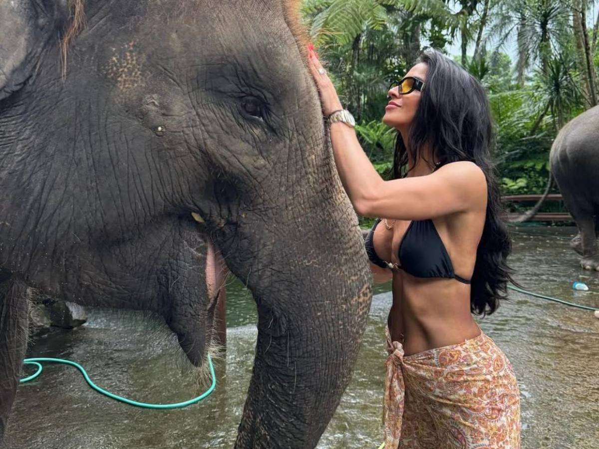 ¿Por cuidar su figura? Bárbara de Regil revela la razón por la que no tendrá más hijos