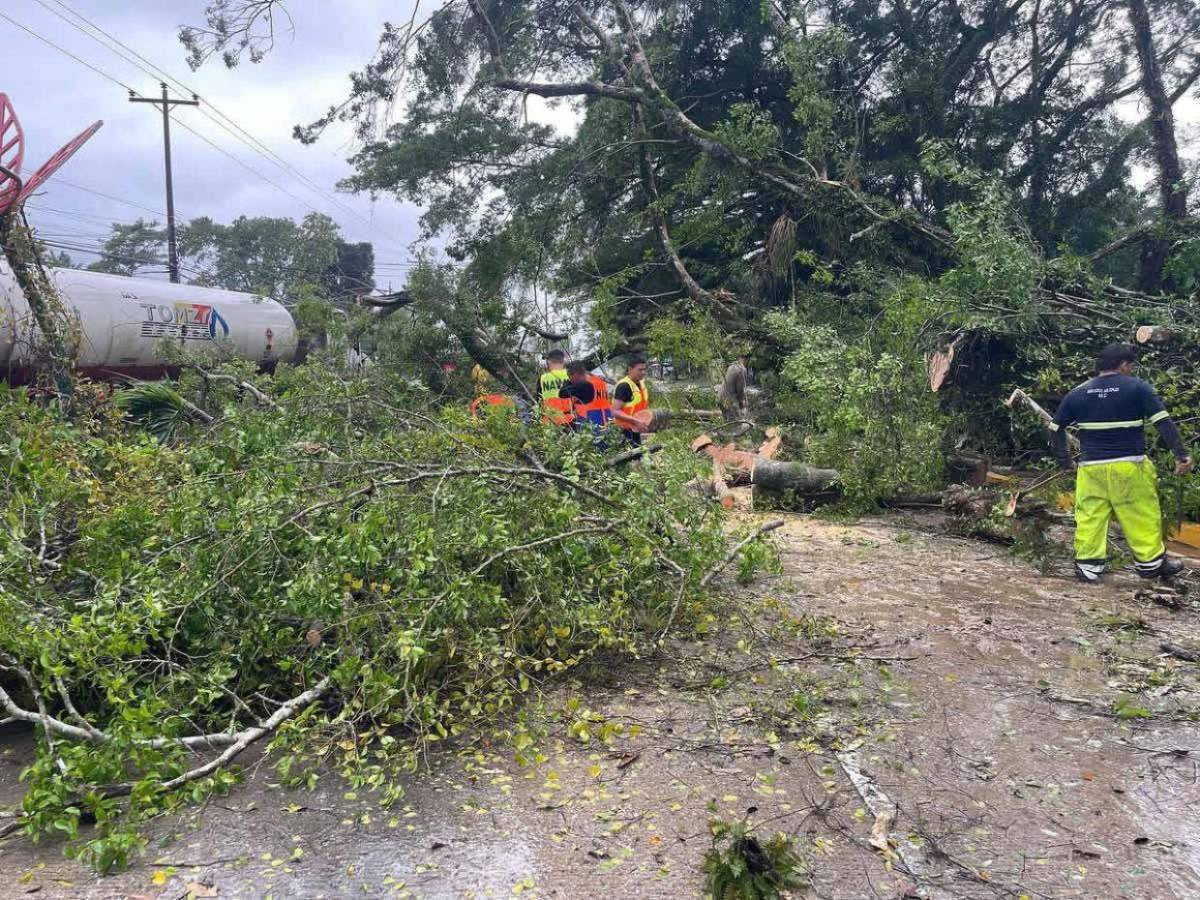 Dramáticas imágenes muestran los daños que dejaron las lluvias en la zona norte de Honduras