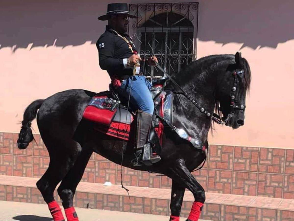 ¿Arma que usó Óscar Ramírez contra María Alemán tenía permiso legal? Esto se sabe