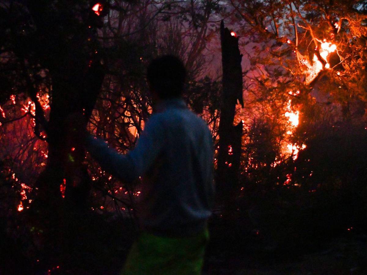 Imágenes de la Patagonia: el fuego arrasa 45,000 hectáreas y amenaza residencias