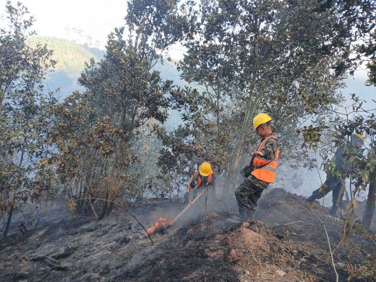 ¡Arde en llamas Triquilapa! El fuego devora uno de los pulmones de Tegucigalpa