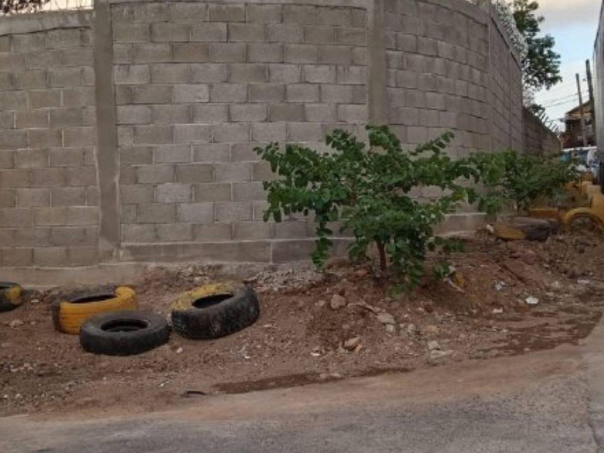 Recuperan basurero clandestino en la colonia Las Torres, en la capital
