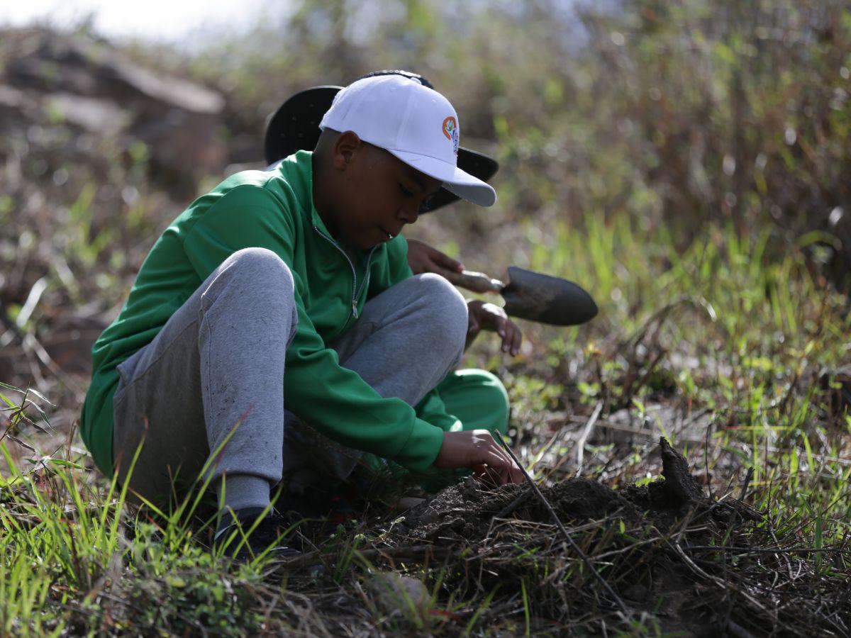 Así vivieron los niños las jornadas de reforestación de Fundación Terra Así vivieron los niños las jornadas de reforestación de Fundación Terra