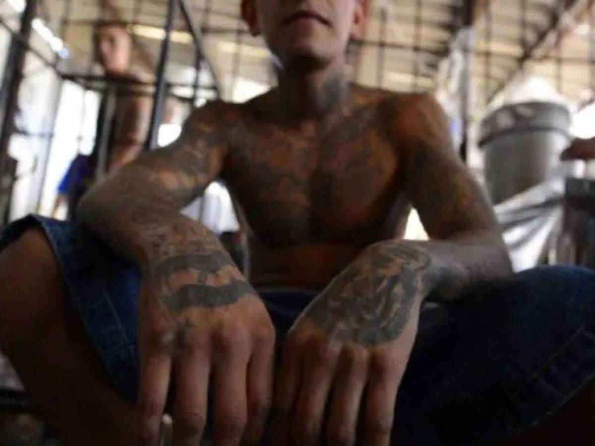 El Mencho y la MS-13: así operaba el Cartel Jalisco Nueva Generación en Honduras