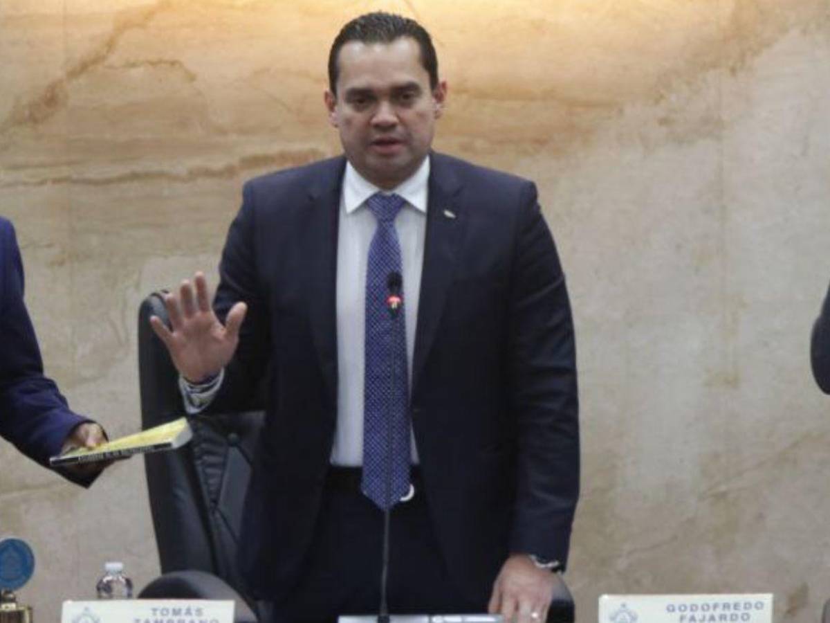 Quedan juramentados los 128 diputados propietarios y suplentes del Congreso Nacional