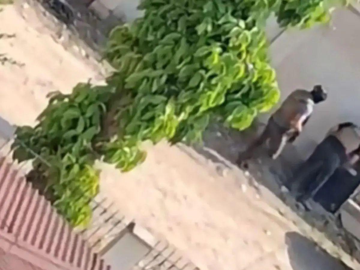Hallan muertos a dos presuntos implicados en asesinato de cinco agentes de la Dipampco en Corinto