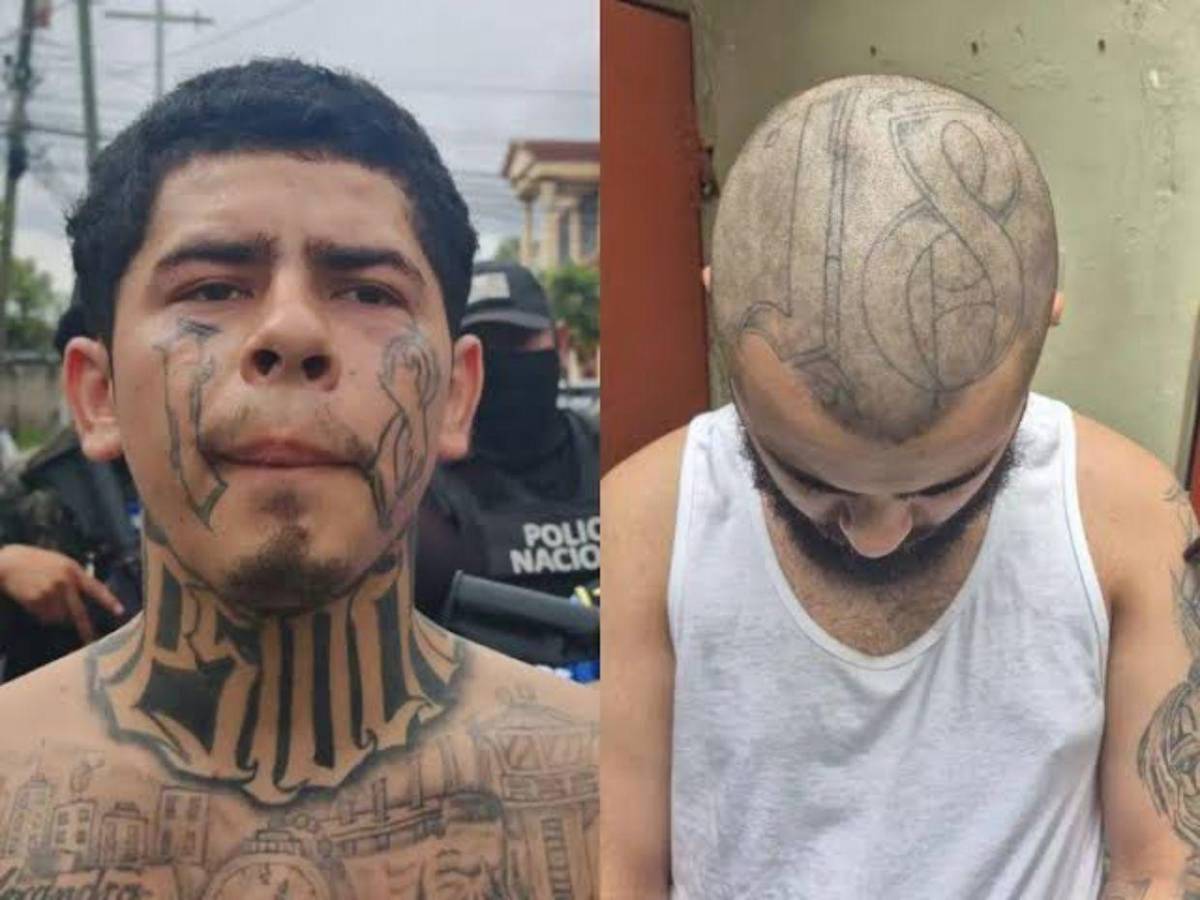 CN busca aprobar que tatuajes de maras y pandillas sirvan de prueba en su contra