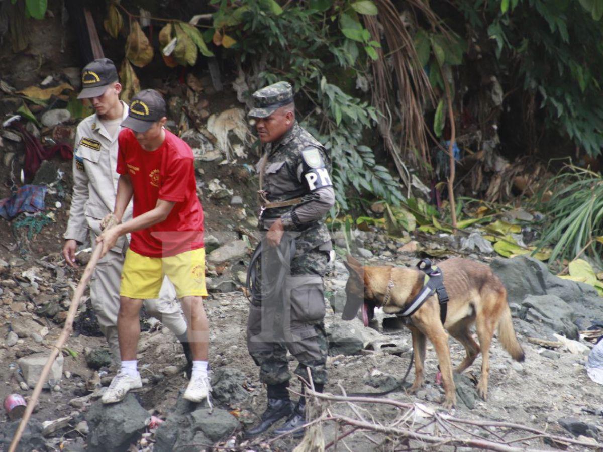 Entrenados para hallar a personas sin vida: dos caninos se suman a la búsqueda de Eliú Bautista