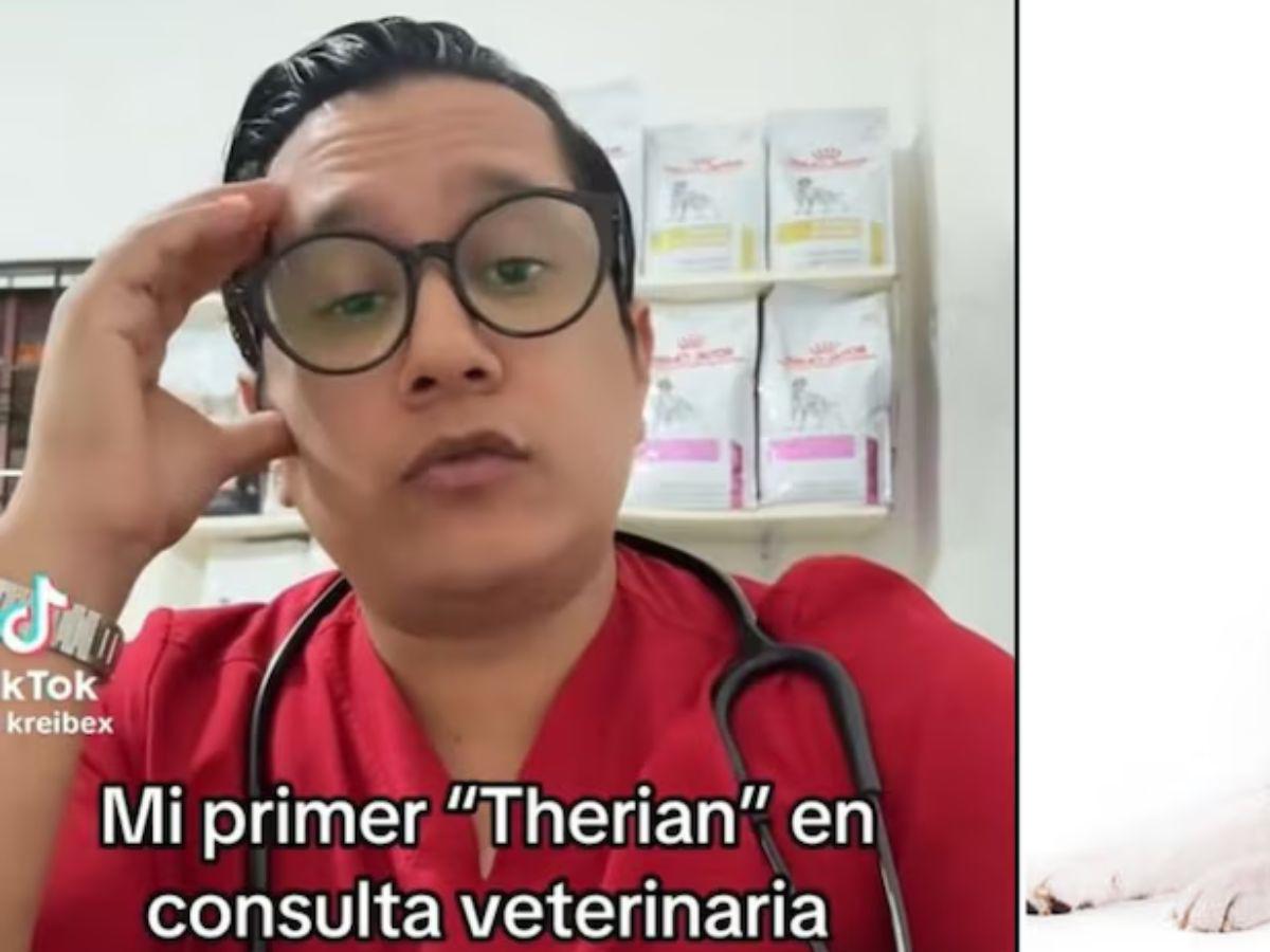 “Lo tuve que dormir”: veterinario revela su experiencia tratando a un paciente Therian