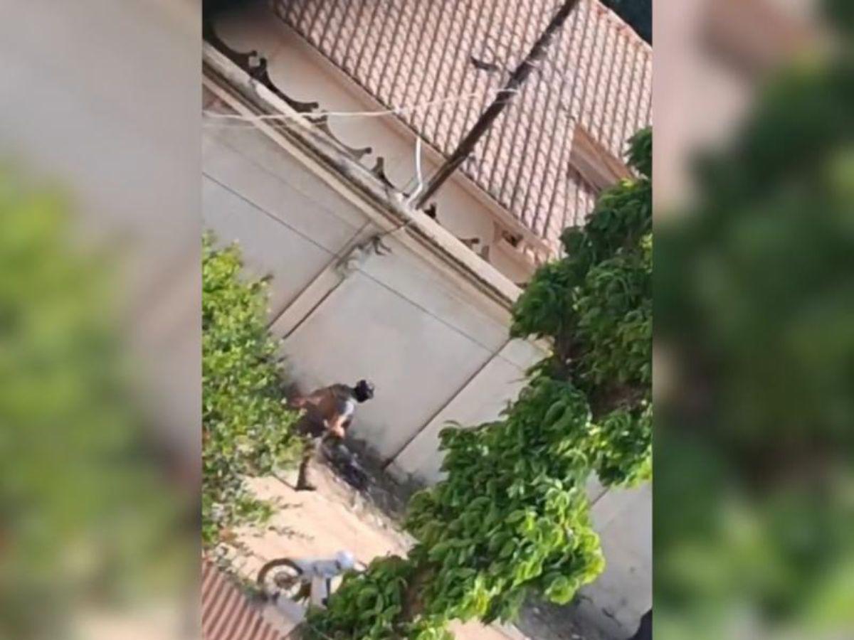 Hallan muertos a dos presuntos implicados en asesinato de cinco agentes de la Dipampco en Corinto