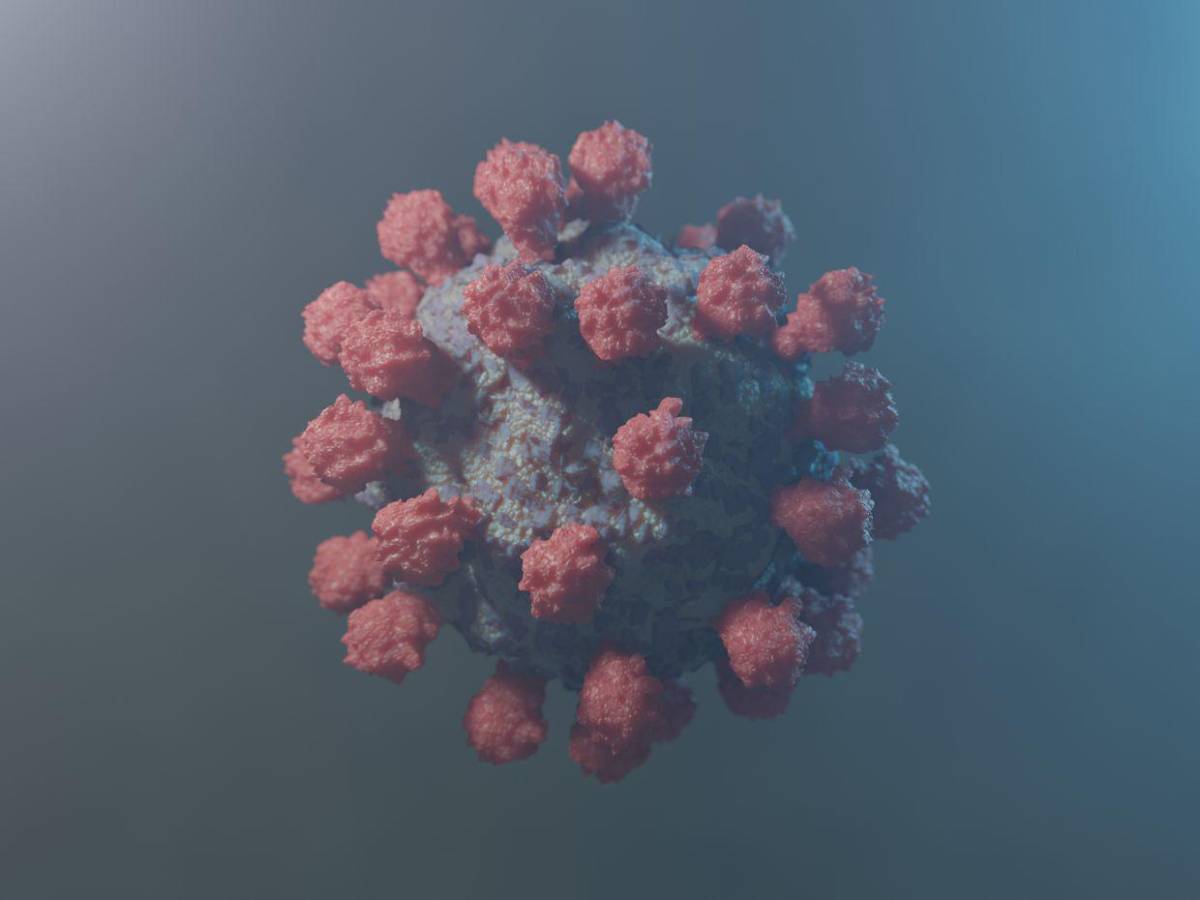 ¿Qué se sabe de Frankenstein”, la nueva subvariante de covid-19 presente en Honduras?