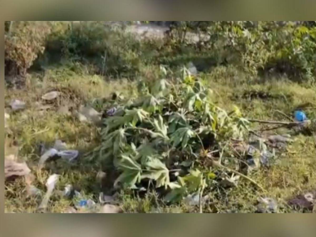 Joven fue hallada muerta tras departir con amigos en Copán