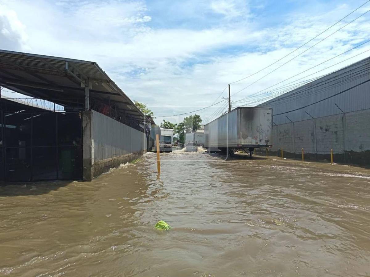 Desastre: así quedó San Pedro Sula ante las lluvias e inundaciones