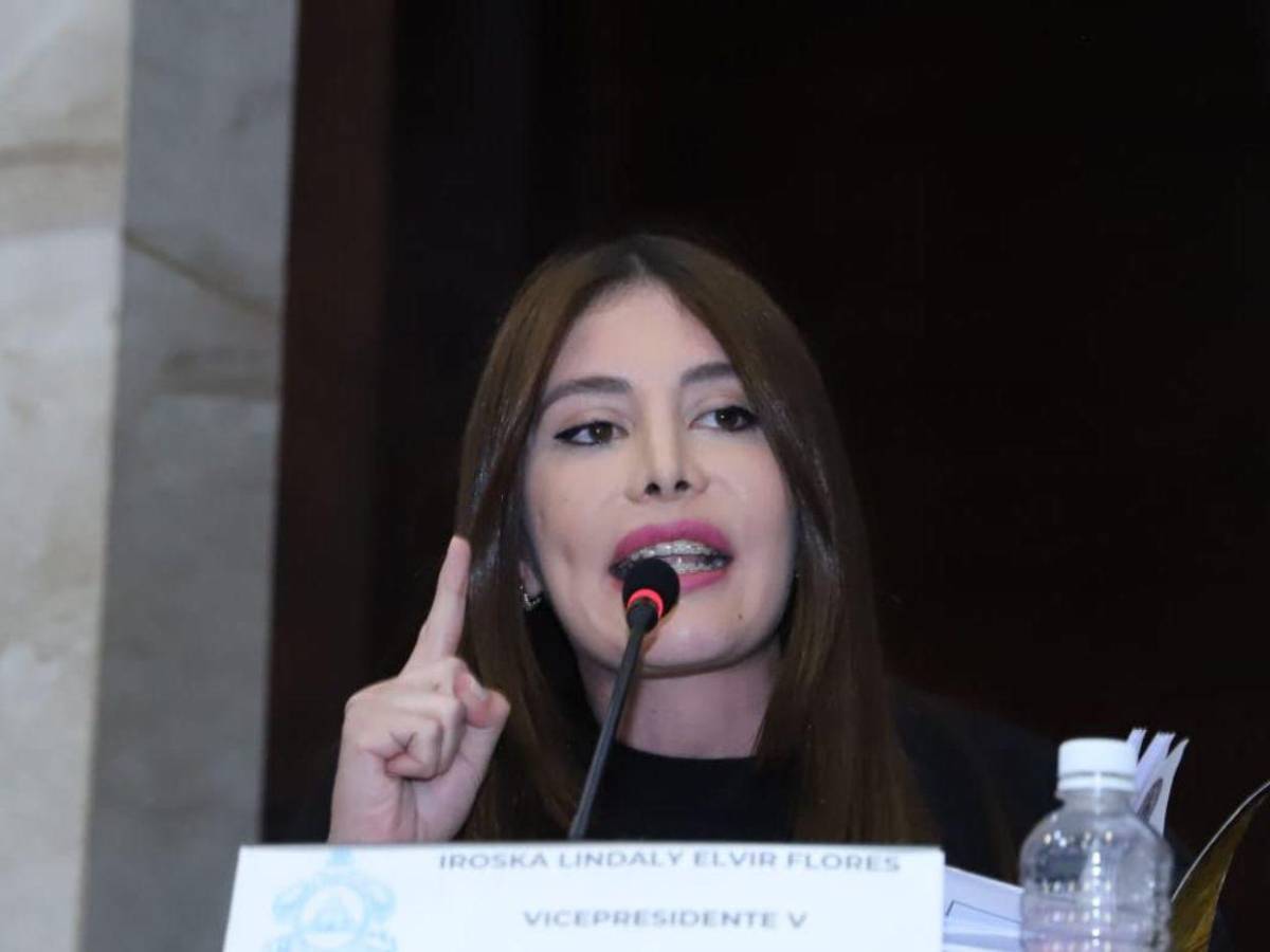 Precandidatos a diputado envueltos en polémicas, conflictos y acusaciones