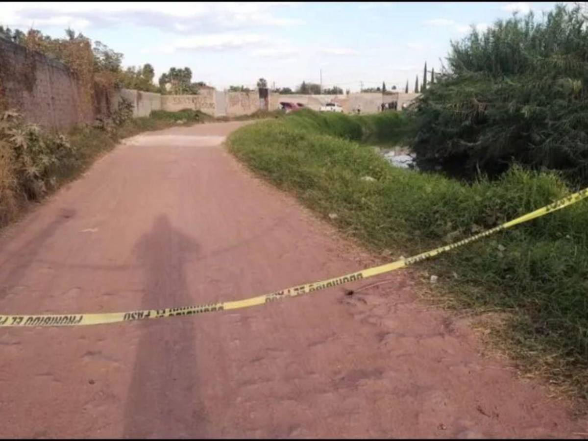 Buscó a su hermano por años, lo halló muerto y luego ella fue desaparecida y asesinada en México