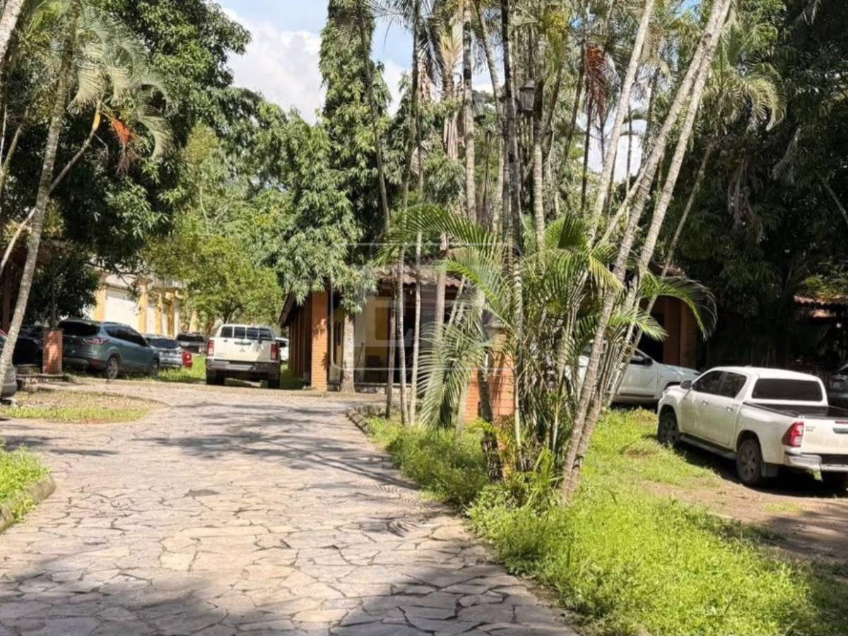 Hallaron municiones, cocaína, marihuana y piedra: así es la vivienda allanada a agentes de la DAET