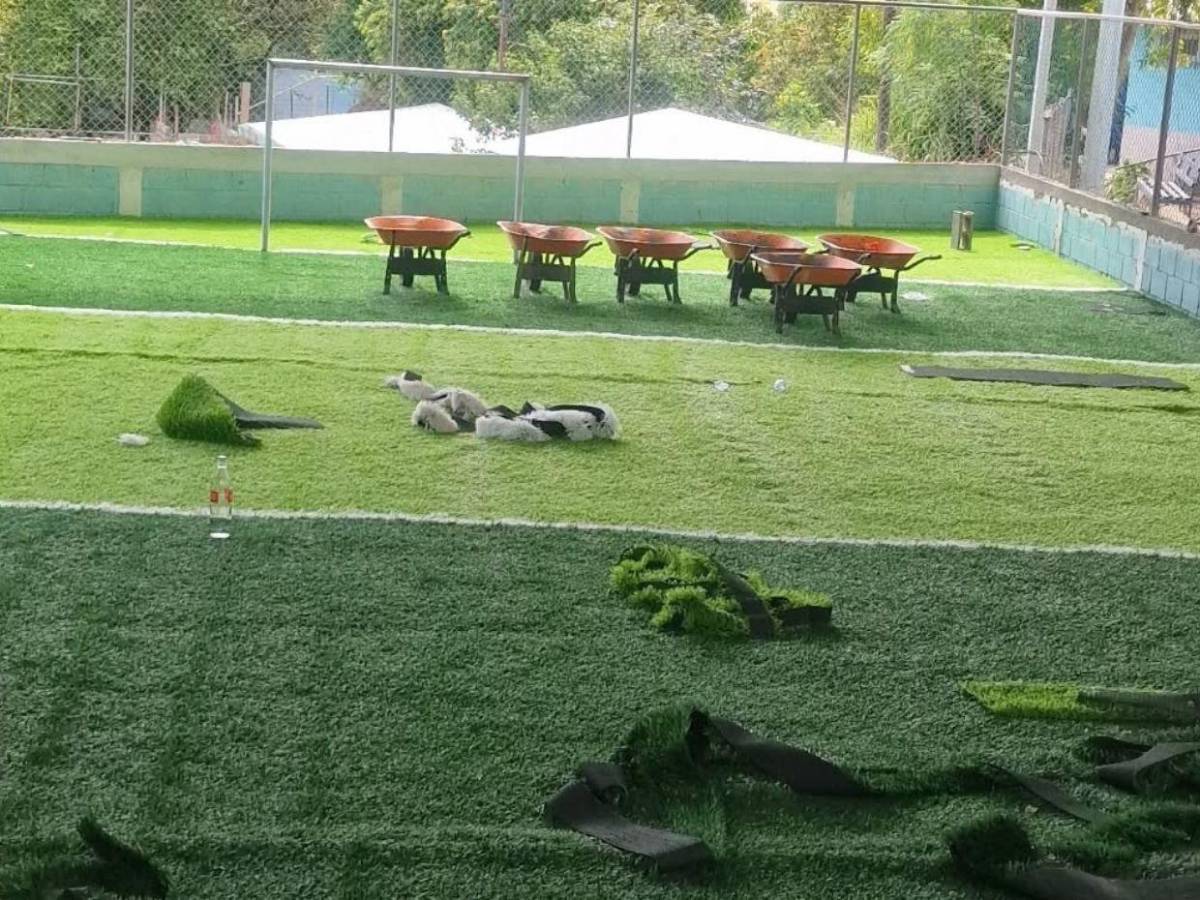 Condepor interviene cancha Dientes de Leche para instalar grama sintética