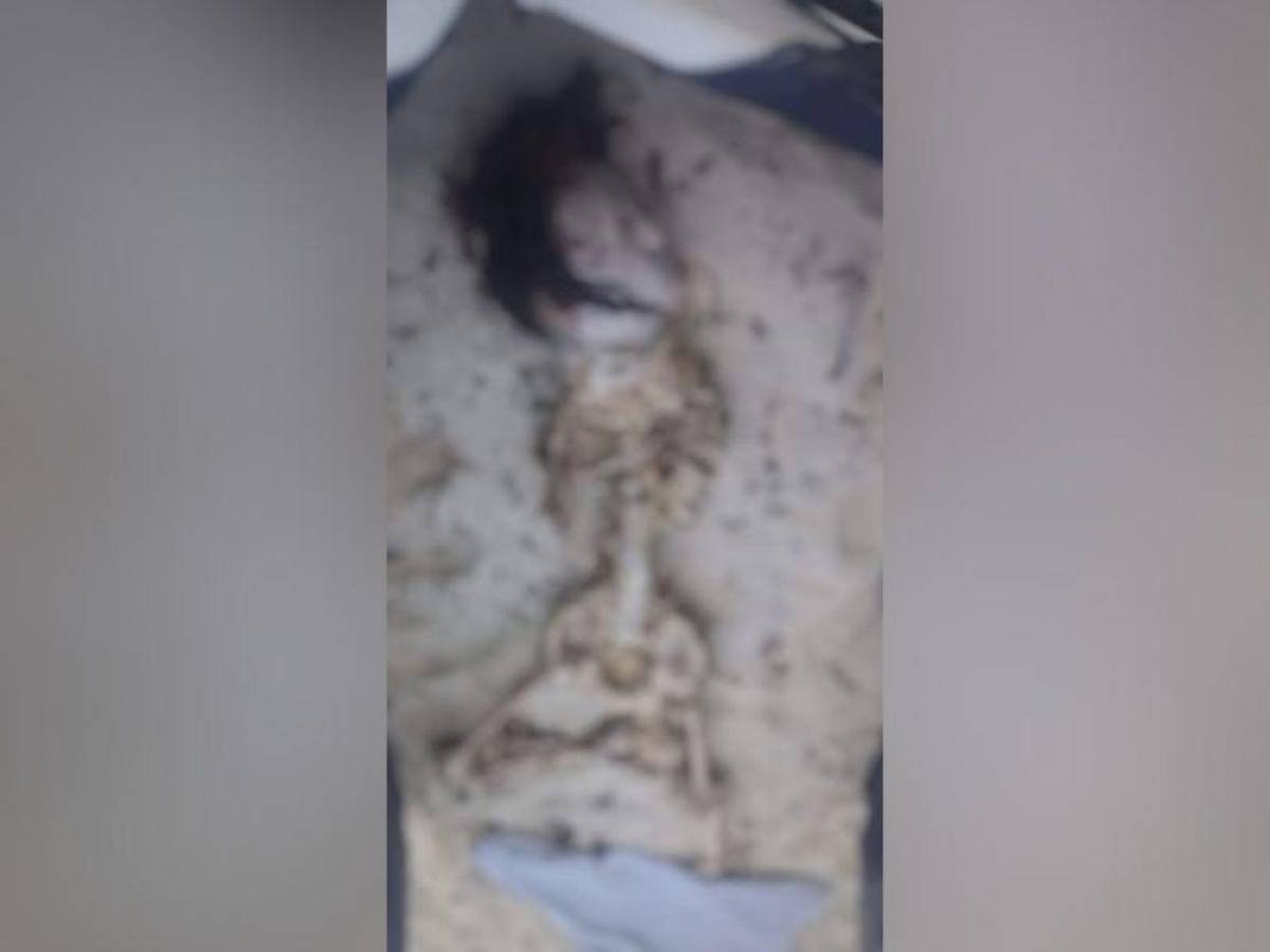 Alejandro Cortés, joven que murió devorado en el mar por salvar a su amiga en Cancún Alejandro Cortés, joven que murió devorado en el mar por salvar a su amiga en Cancún