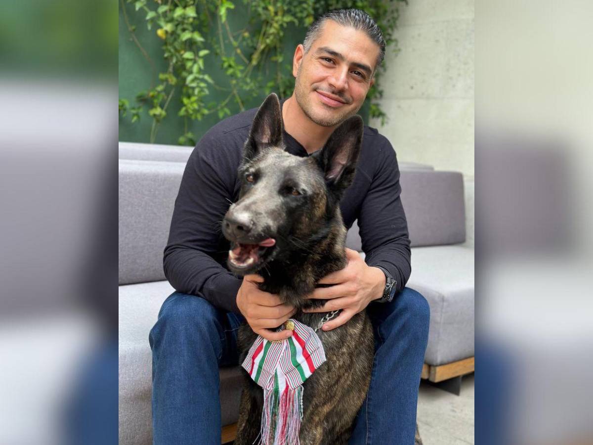 Familia, carrera y retos: la vida de Omar García Harfuch, secretario de Seguridad de México