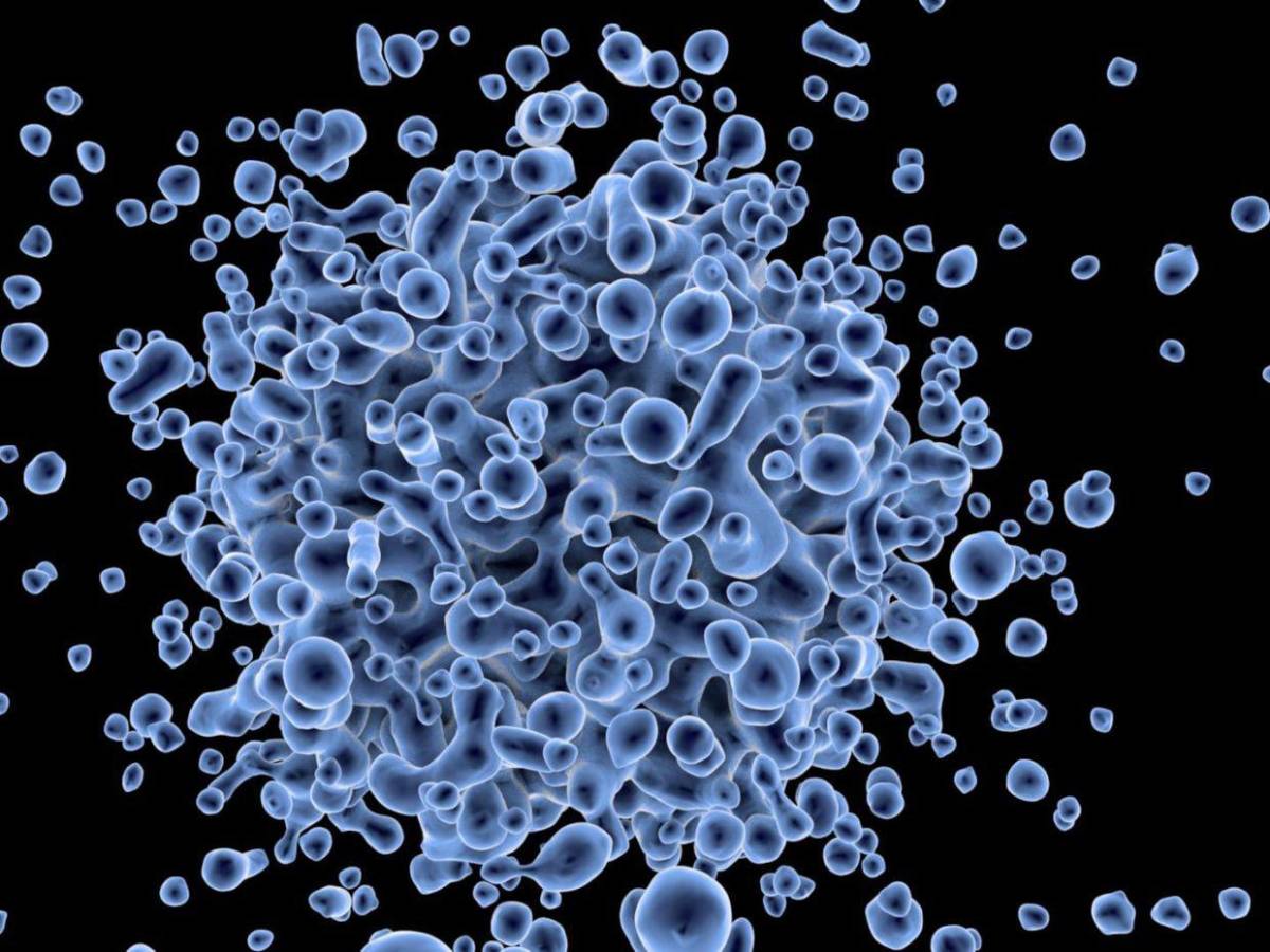 Eva Gallegos: Científica que erradicó el VPH al 100% en 29 mujeres