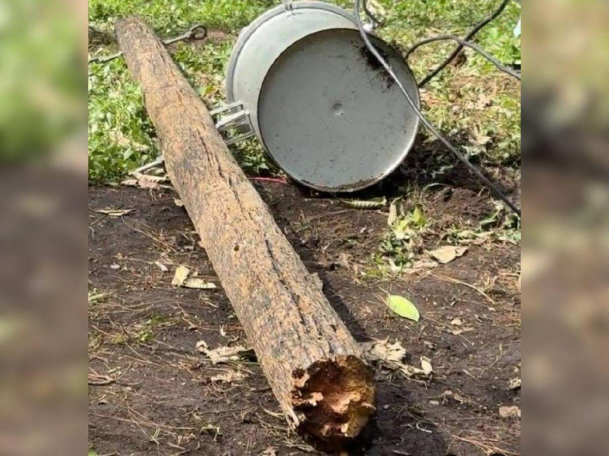 Daniel Calero, alumno que murió tras caerle poste cuando realizaba práctica de colegio