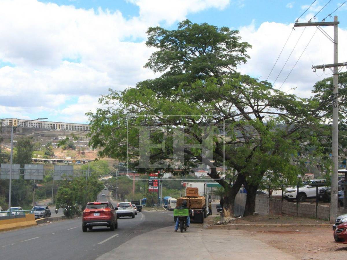 Solo escombros: la escena del accidente donde Hernán Martínez perdió la vida