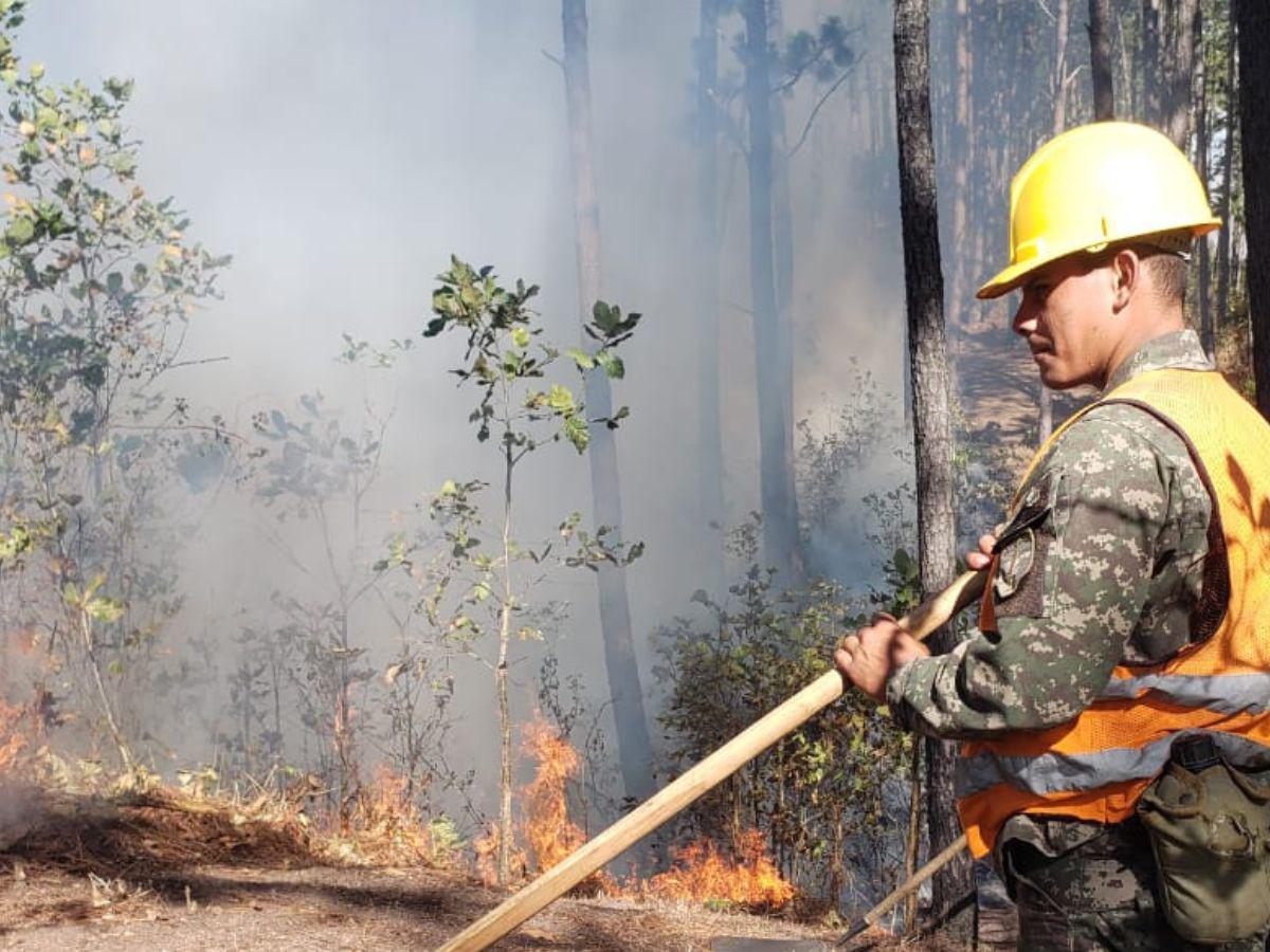 ¡Arde en llamas Triquilapa! El fuego devora uno de los pulmones de Tegucigalpa