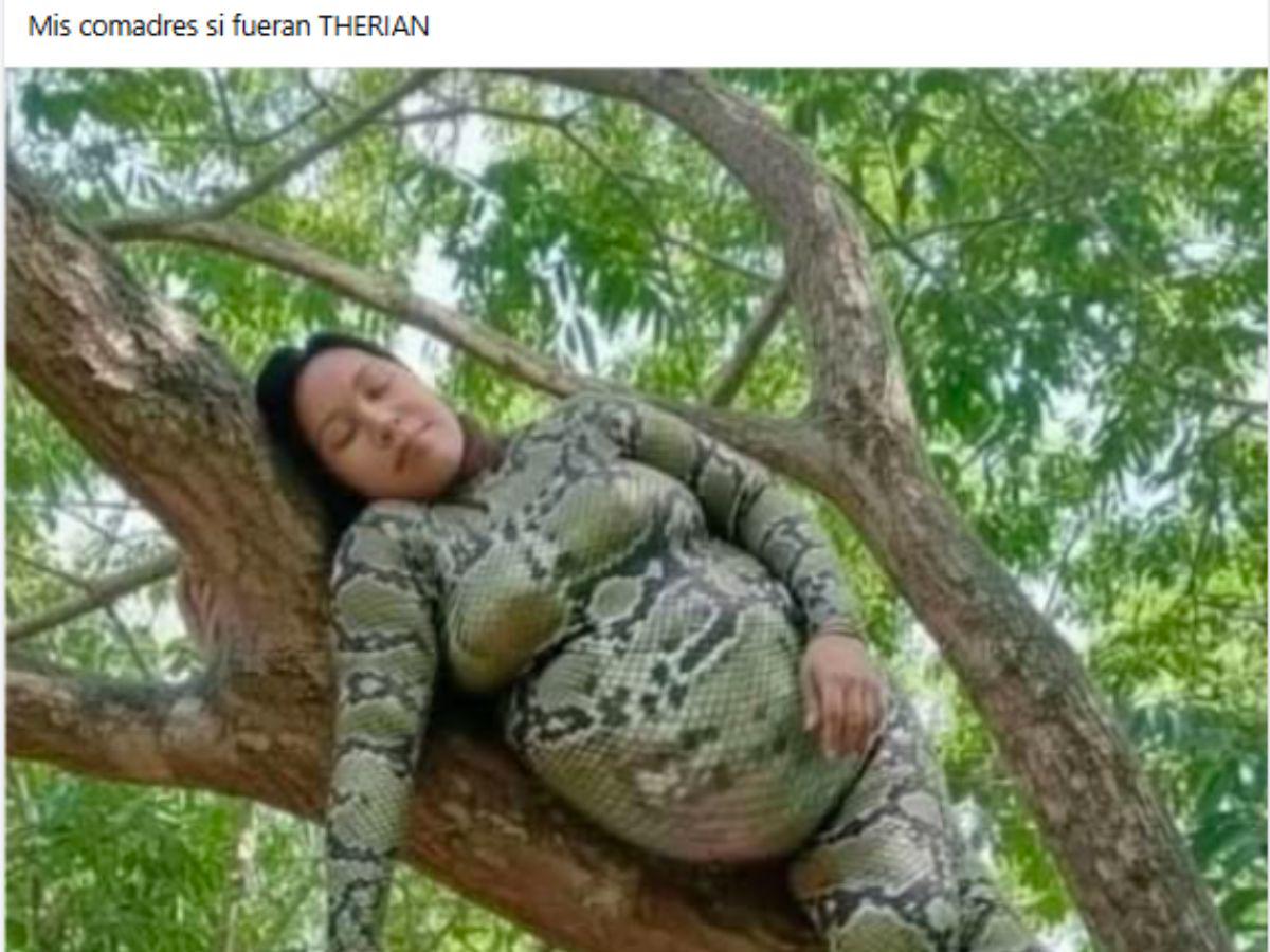 Los mejores memes que está dejando la nueva tendencia de therians en redes