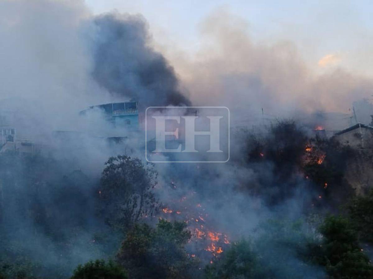 Familias desesperadas: Así fue el pavoroso incendio que afectó varias viviendas en La Rivera de La Vega