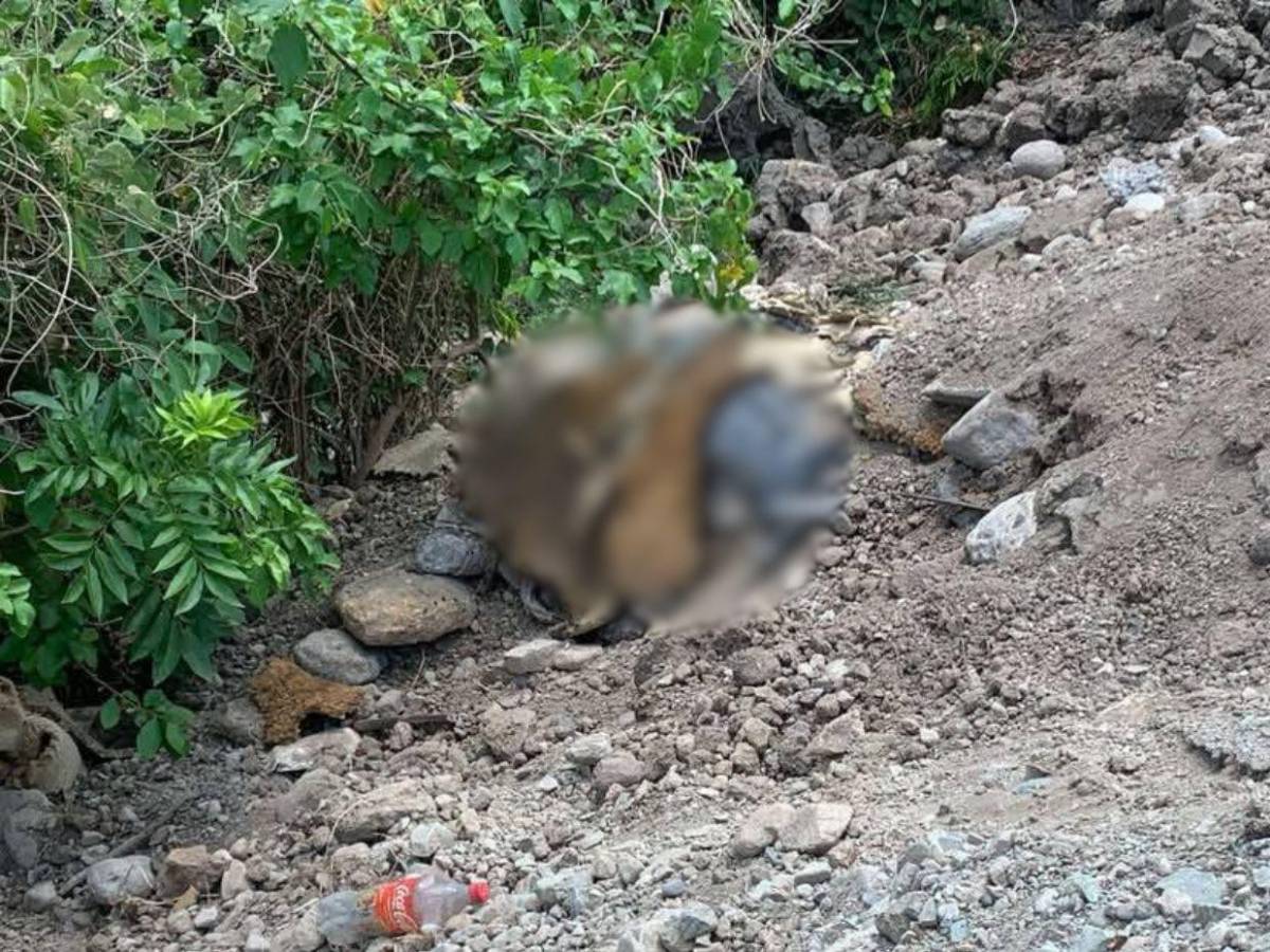 Ana Serrano fue asesinada y semienterrada por su pareja en Ocotepeque