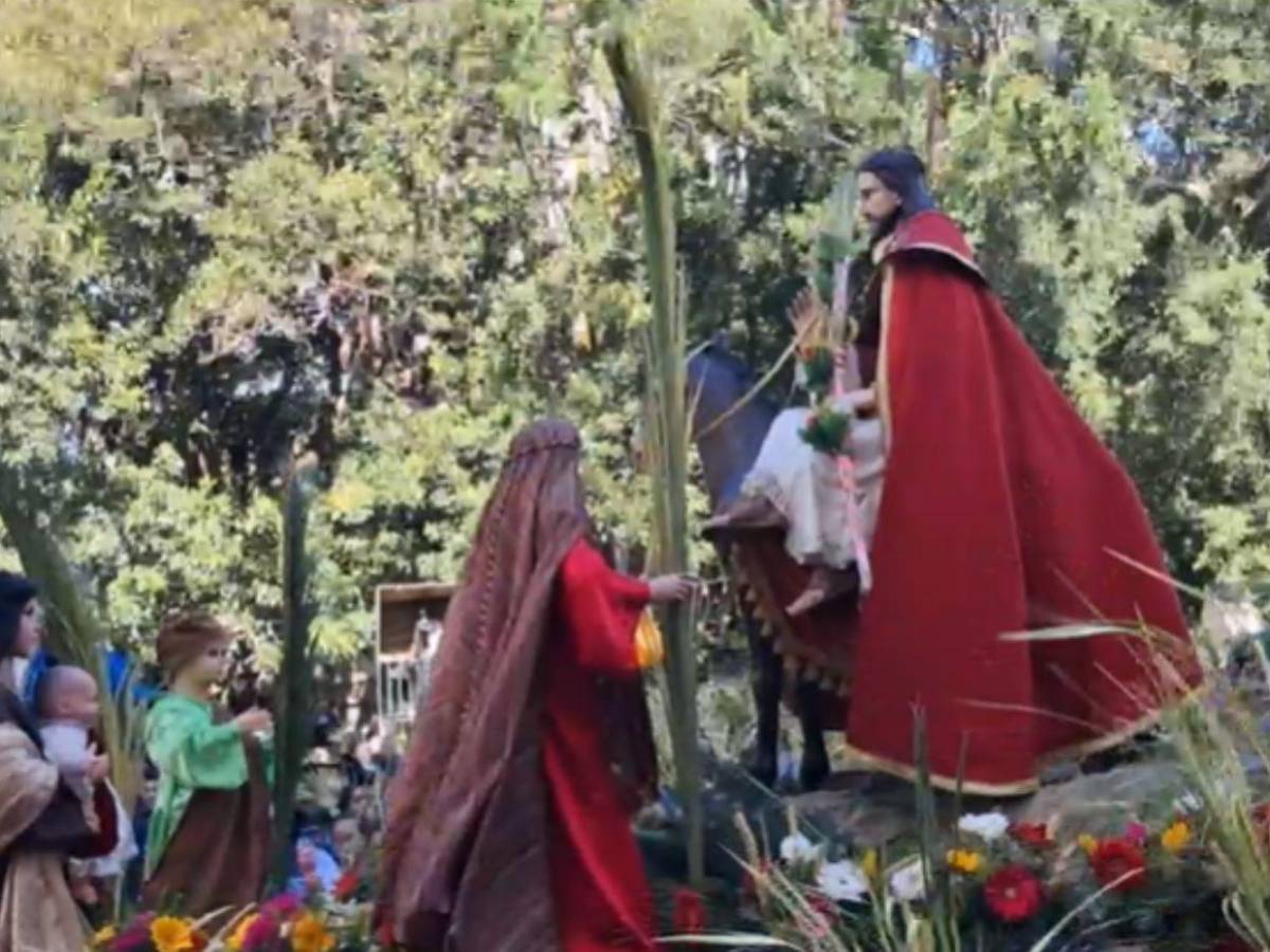 Así se vivió la tradicional procesión de Domingo de Ramos en el centro de Tegucigalpa Así se vivió la tradicional procesión de Domingo de Ramos en el centro de Tegucigalpa