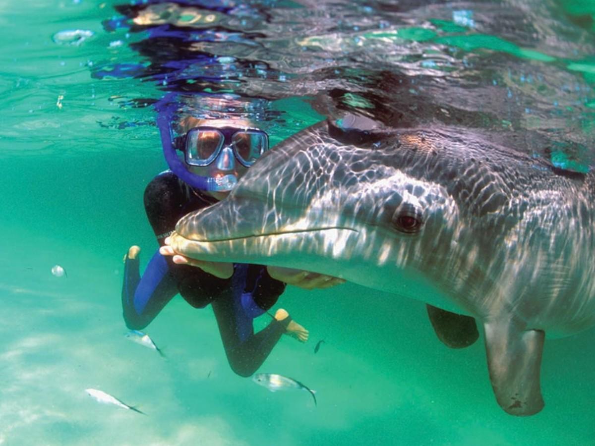 Roatán es playas, bellezas naturales y cultura, una joya en el caribe hondureño