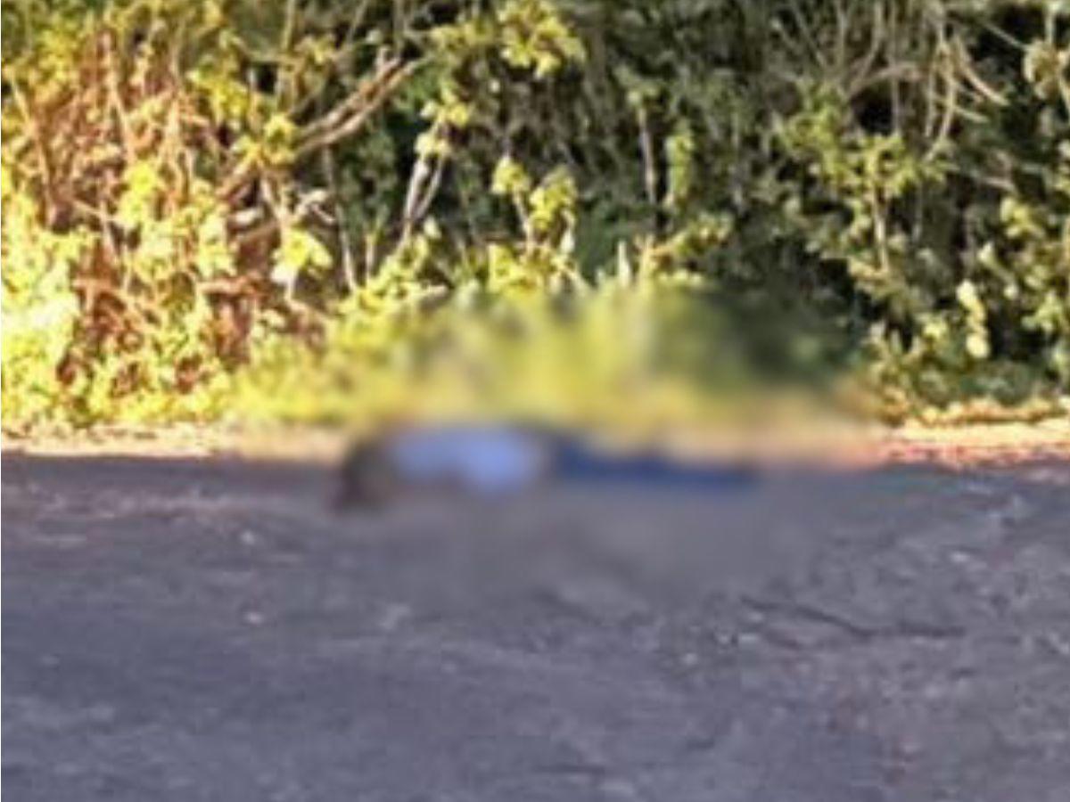 Caso de Alan Paz, hombre asesinado a disparos en Nueva Arcadia, Copán