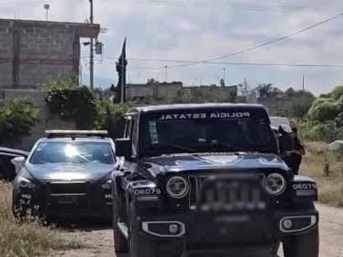 Quinceañera desaparecida fue hallada carbonizada en México; hombre la contactó por redes