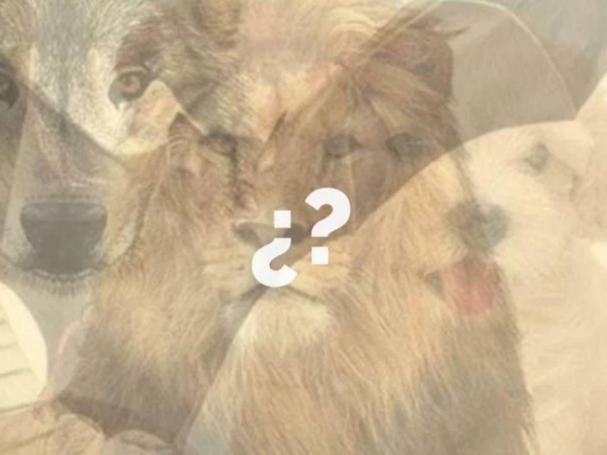 ¿Quieres descubrir ese lado de tu personalidad que desconoces? Prueba con este sencillo test